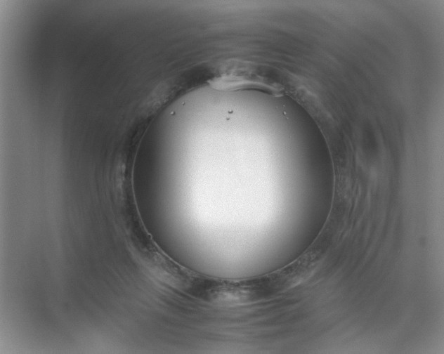 X0000074930263200609151946