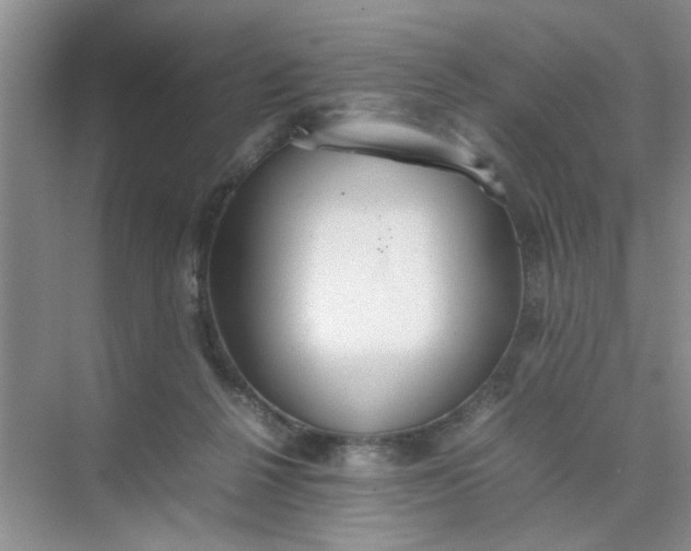 X0000074930264200609151946