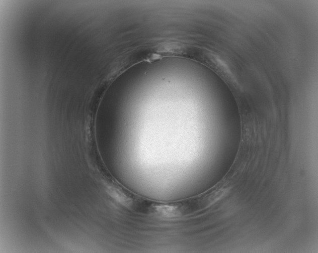 X0000074930265200609151946