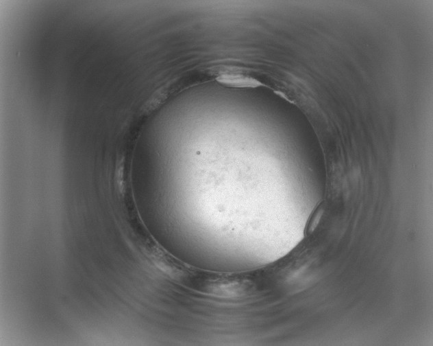 X0000074930267200609151946