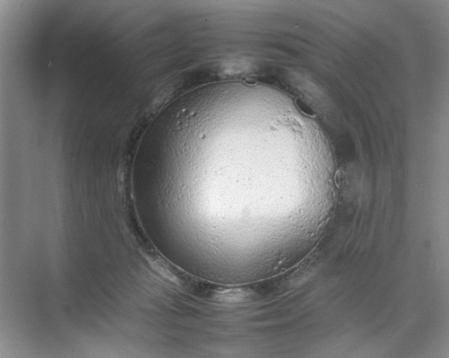 X0000074930269200609151946