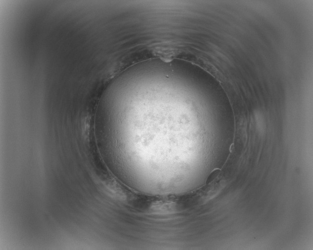 X0000074930271200609151946