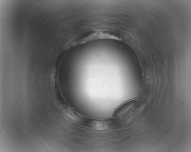 X0000074930275200609151946