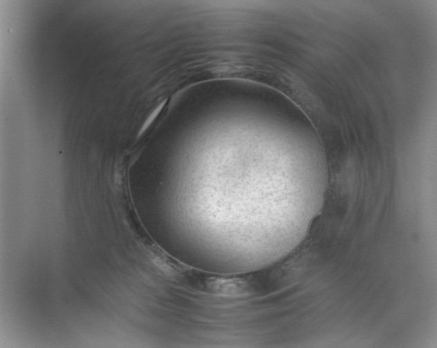 X0000074930277200609151946