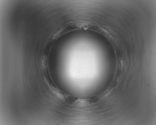 X0000074930280200609151947