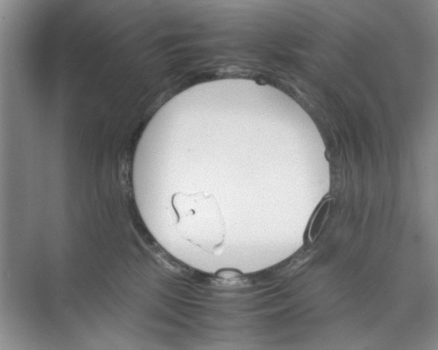 X0000074930281200609151947