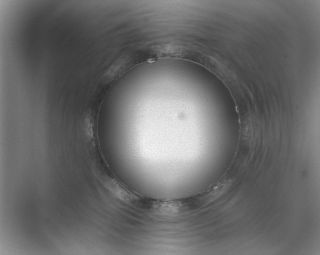 X0000074930282200609151947