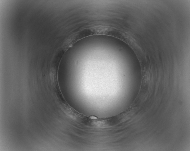 X0000074930283200609151947