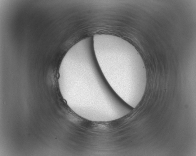 X0000074930285200609151947