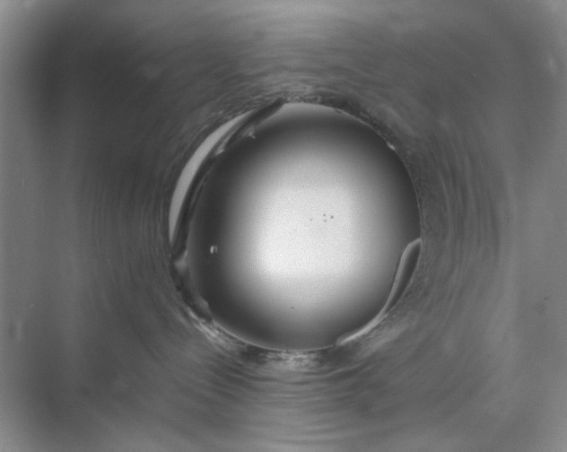 X0000074930288200609151947