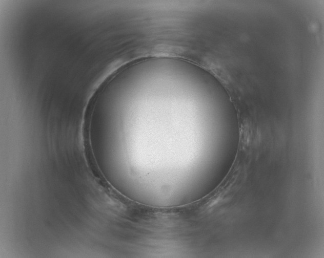 X0000074930292200609151946