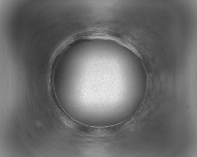 X0000074930293200609151946