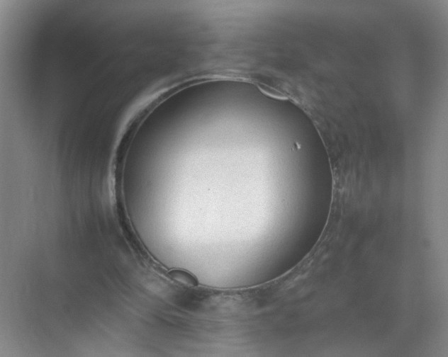 X0000074930294200609151946