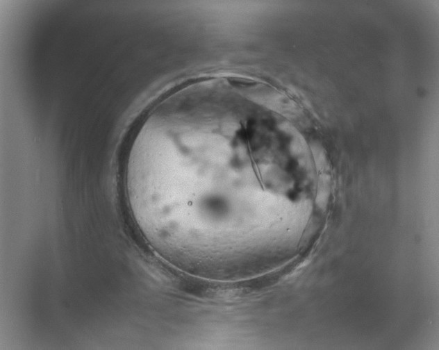 X0000074930295200609151946