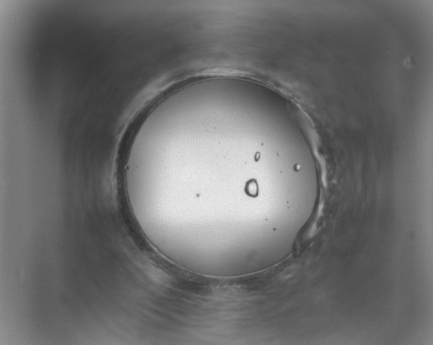 X0000074930296200609151946