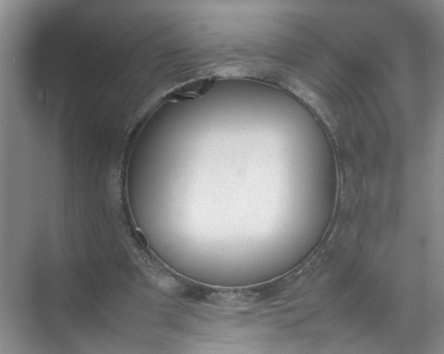 X0000074930297200609151946