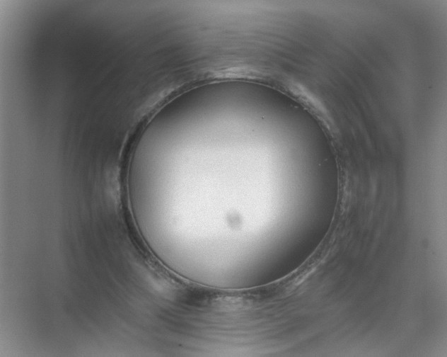 X0000074930298200609151946