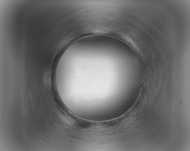 X0000074930299200609151946