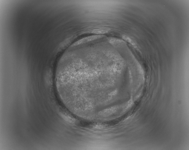 X0000074930303200609151946