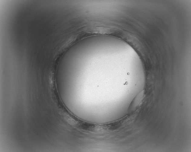 X0000074930305200609151946