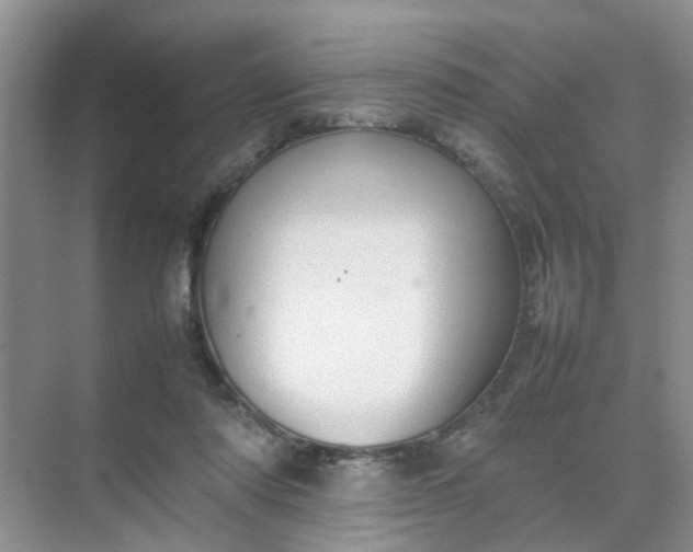 X0000074930310200609151945