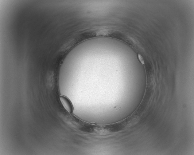 X0000074930311200609151945