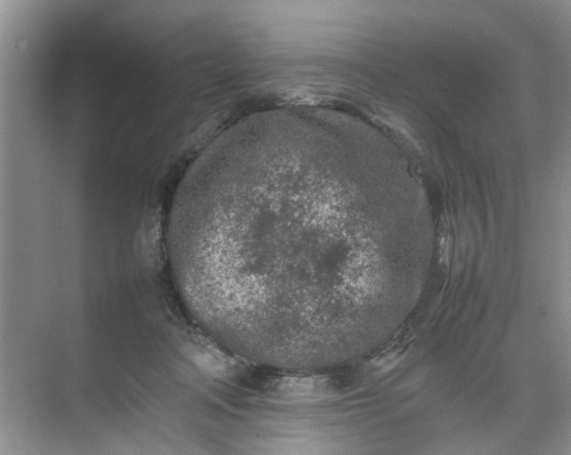 X0000074930314200609151945