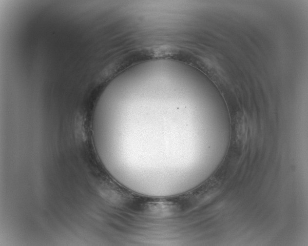 X0000074930316200609151945