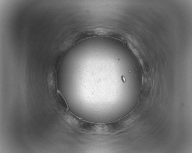 X0000074930317200609151945