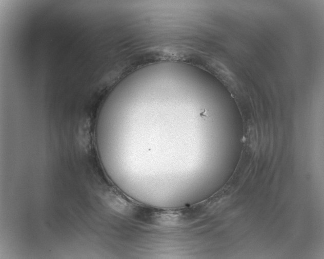 X0000074930318200609151945