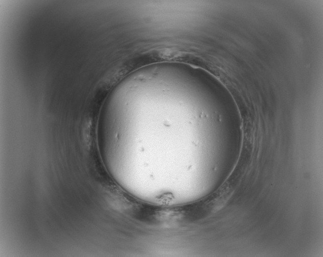 X0000074930319200609151945