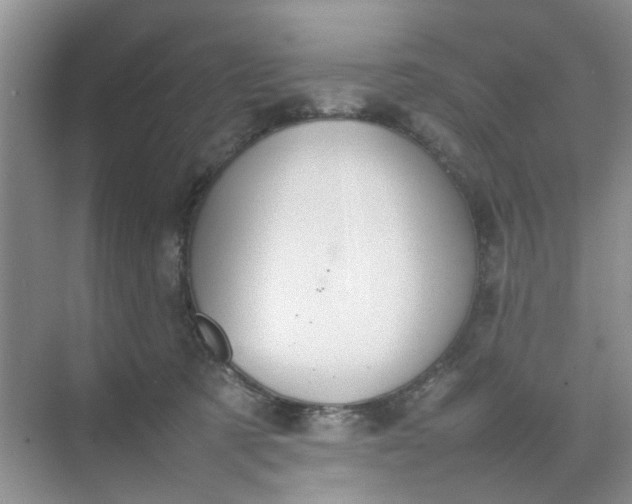 X0000074930321200609151945