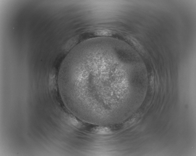 X0000074930322200609151945