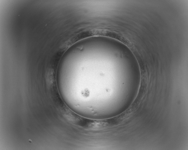 X0000074930323200609151945