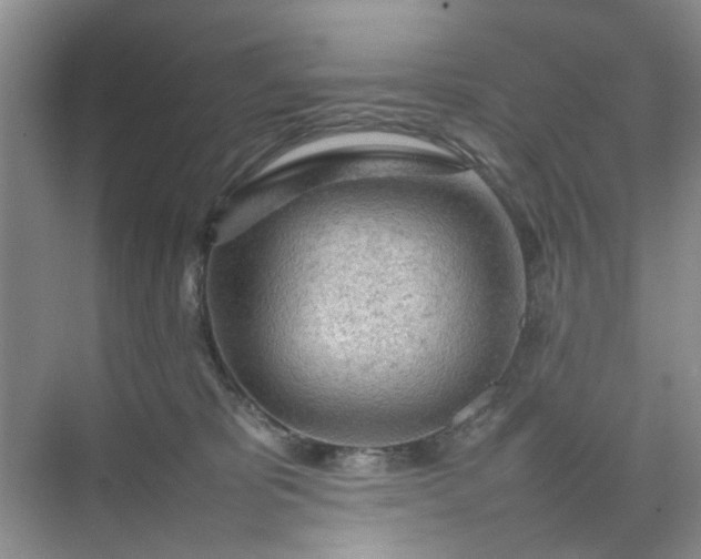 X0000074930325200609151945