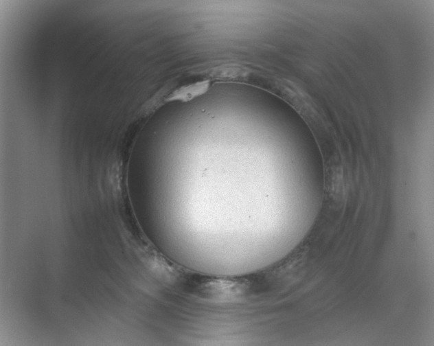 X0000074930326200609151945