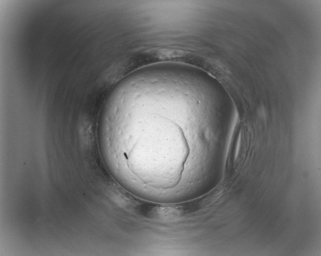 X0000074930327200609151945