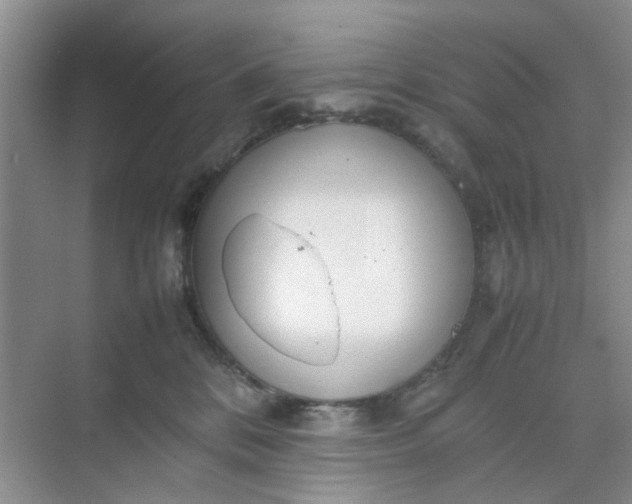 X0000074930328200609151945