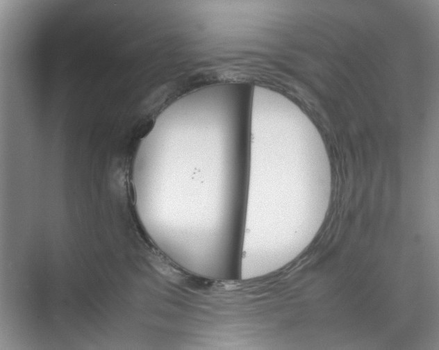 X0000074930329200609151945