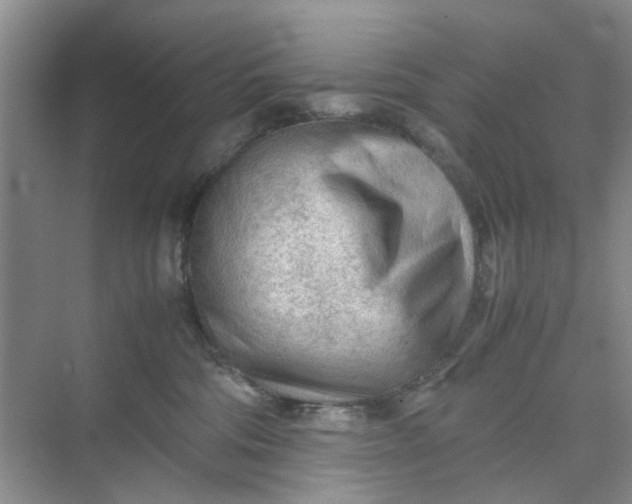 X0000074930330200609151945