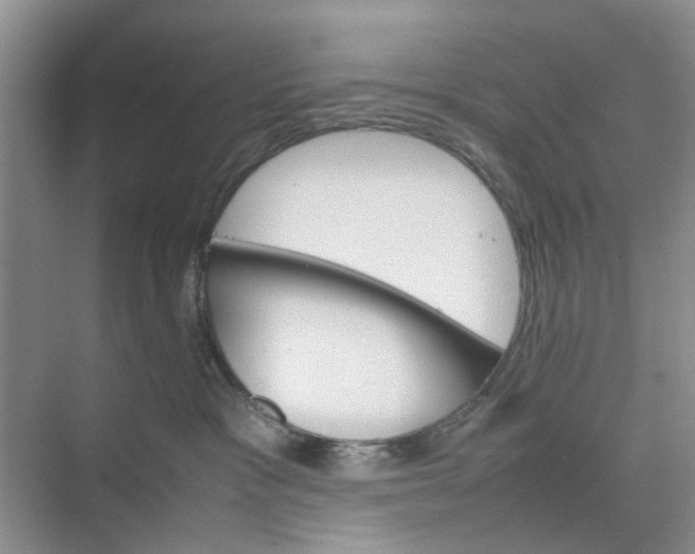 X0000074930333200609151945