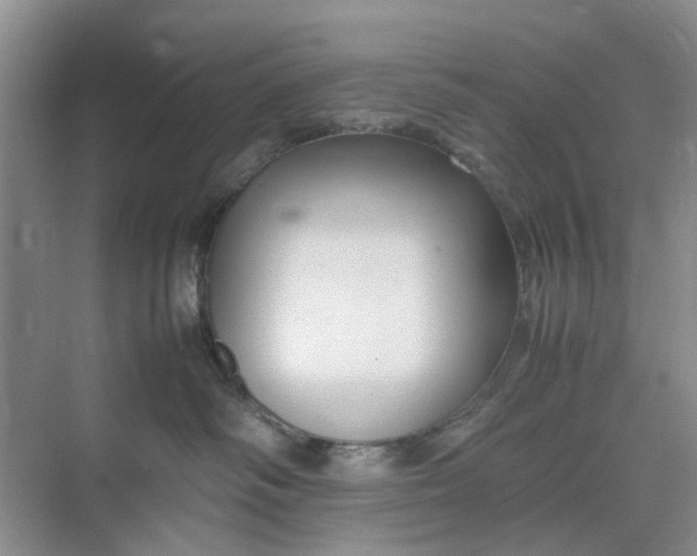 X0000074930334200609151945