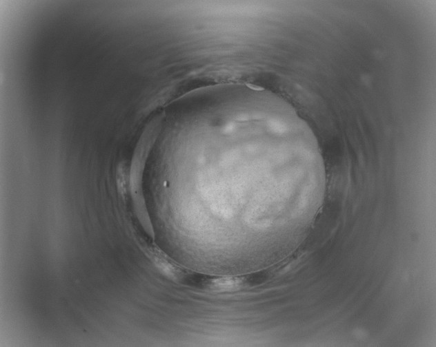 X0000074930335200609151945