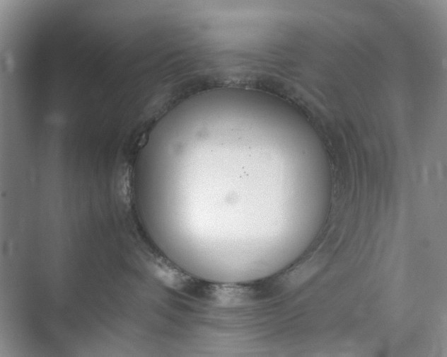 X0000074930336200609151945