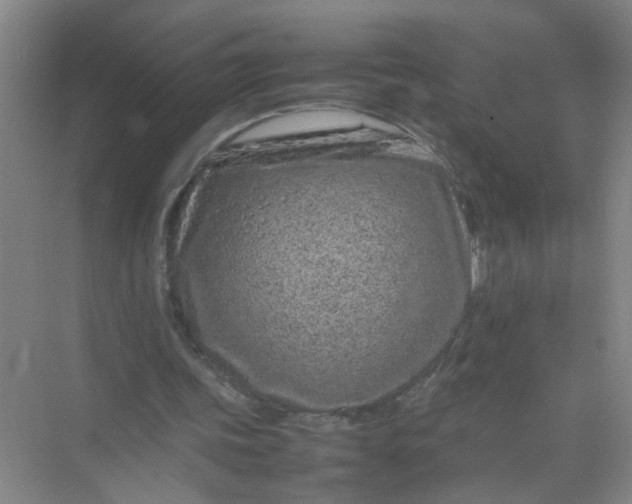 X0000074930339200609151944