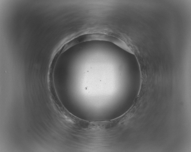 X0000074930340200609151944