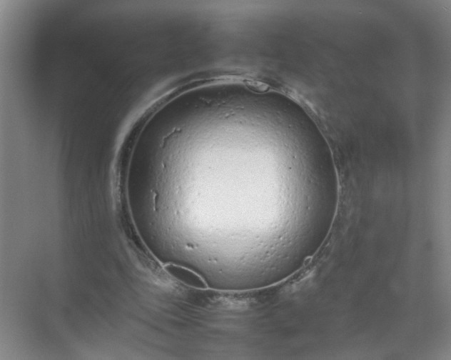 X0000074930343200609151944