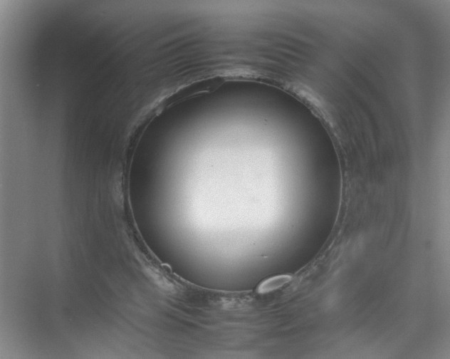 X0000074930345200609151944