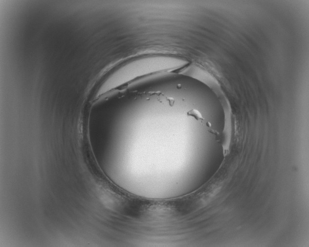 X0000074930348200609151944