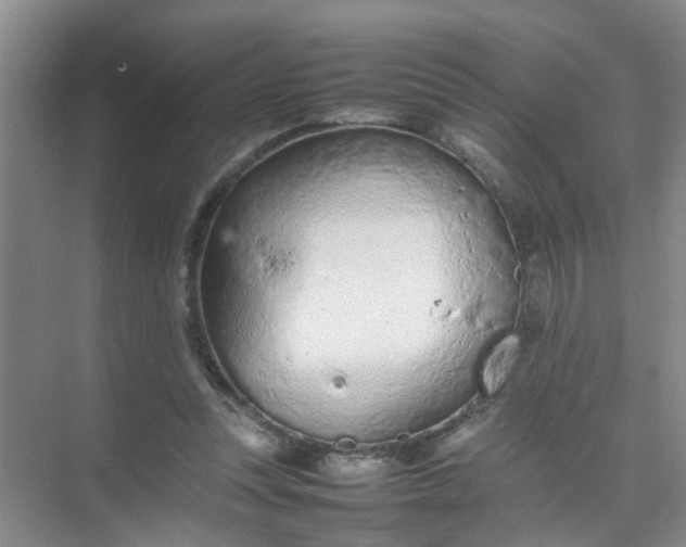 X0000074930351200609151944